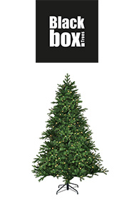 Black Box Trees