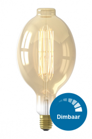 Dimbare E40 giant gold filament lampen