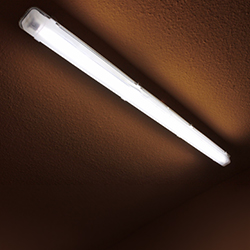 Alles over led TL buizen