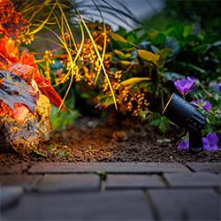Garden Lights Spots