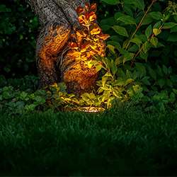 Garden Lights Uplight
