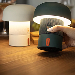 Speaker lamp