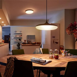 Philips Hue Hanglampen