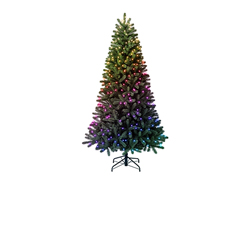 Kerstbomen