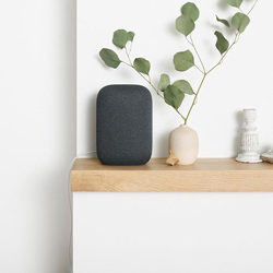 Voice assistants
