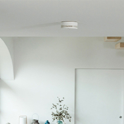 Rookmelder voor Apple HomeKit