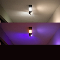 Philips Hue Plafondlampen