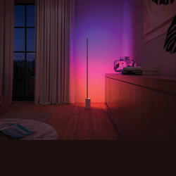 Philips Hue Vloerlampen