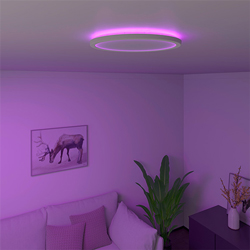 Calex Smart Home Plafondlampen