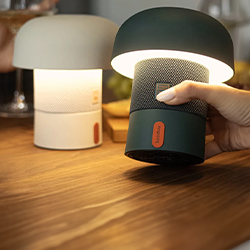 Speaker lamp