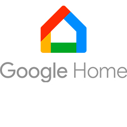 Google Home