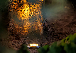 Uplights 12V