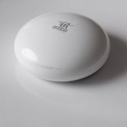 Temperatuursensor voor Homey