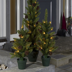 Kleine kerstboom