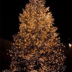 Koppelbare kerstverlichting professioneel