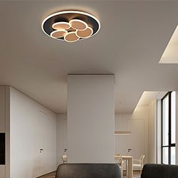 Trio Lighting Plafondlamp
