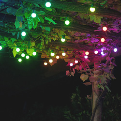 ⋙ Feestverlichting bestellen? |