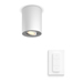Philips Hue Pillar Opbouwspot | Wit | 1 spot | White Ambiance | incl. dimmer switch
