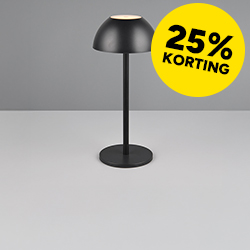 Trio Lighting Camping Life 2025