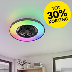 Plafondventilator met lamp