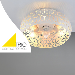 Trio Lighting plafondventilator E27