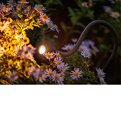 Lightpro Spot 12V | Xible Hi | 2700K | 187 lumen | IP44 | Zwart | 2.1W