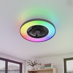 Plafondventilator met lamp