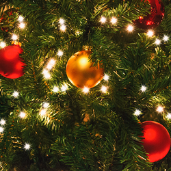 Blogs: alles over kerstverlichting