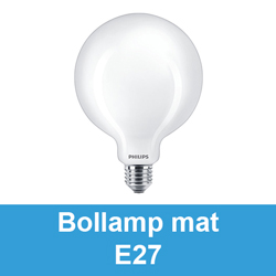 Kleren Conform spade ⋙ E27 bollampen bestellen? | 123led.nl