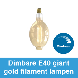 Dimbare E40 giant gold filament lampen