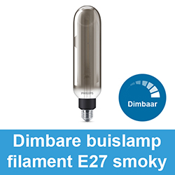 Dimbare buislamp filament E27 smoky