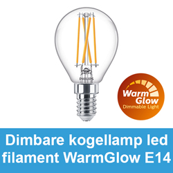 Dimbare kogellamp led filament WarmGlow E14