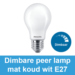 Dimbare peer lamp mat koud wit E27