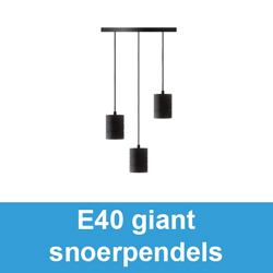 E40 giant snoerpendels