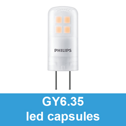 GY6.35 led capsules