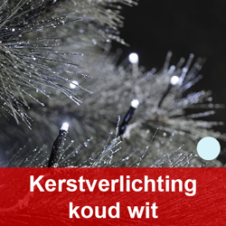 Kerstverlichting koud wit