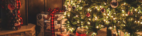 les Couscous fysiek Hoeveel lampjes moeten er in de kerstboom? - Blog | 123led.nl