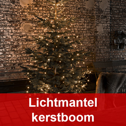 Lichtmantel kerstboom