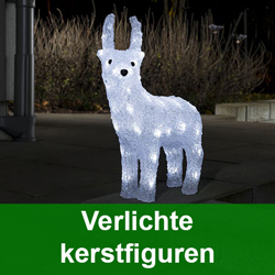 Kerstdecoratie met verlichting voor buiten nodig? 123led.nl