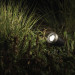 Garden Lights Arcus tuinspot zwart (12V, 5W, Warm wit)
