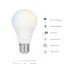 Hombli Smart Bulb E27 | Instelbaar wit | 1 stuk | 9W | 2500K-9000K