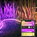 Philips Hue smart lamp