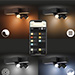 Philips Hue White and Color Ambiance Centris, 3-lichts plafondlamp zwart
