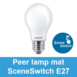 Peer lamp mat SceneSwitch E27