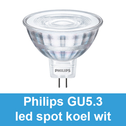 Philips GU5.3 koel wit