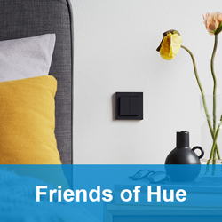 Friends of Hue