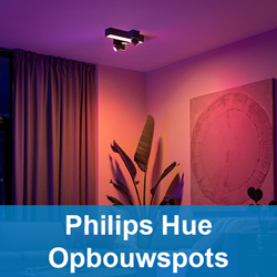 Philips Hue Opbouwspots