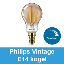 Philips Vintage E14 kogel