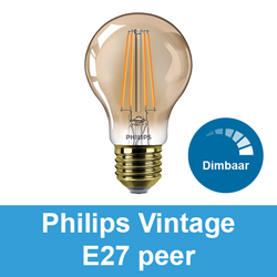Philips Vintage E27 peer