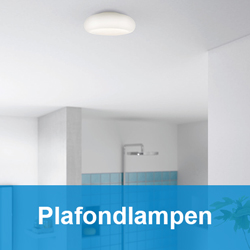 Philips myBathroom Plafondlamp
